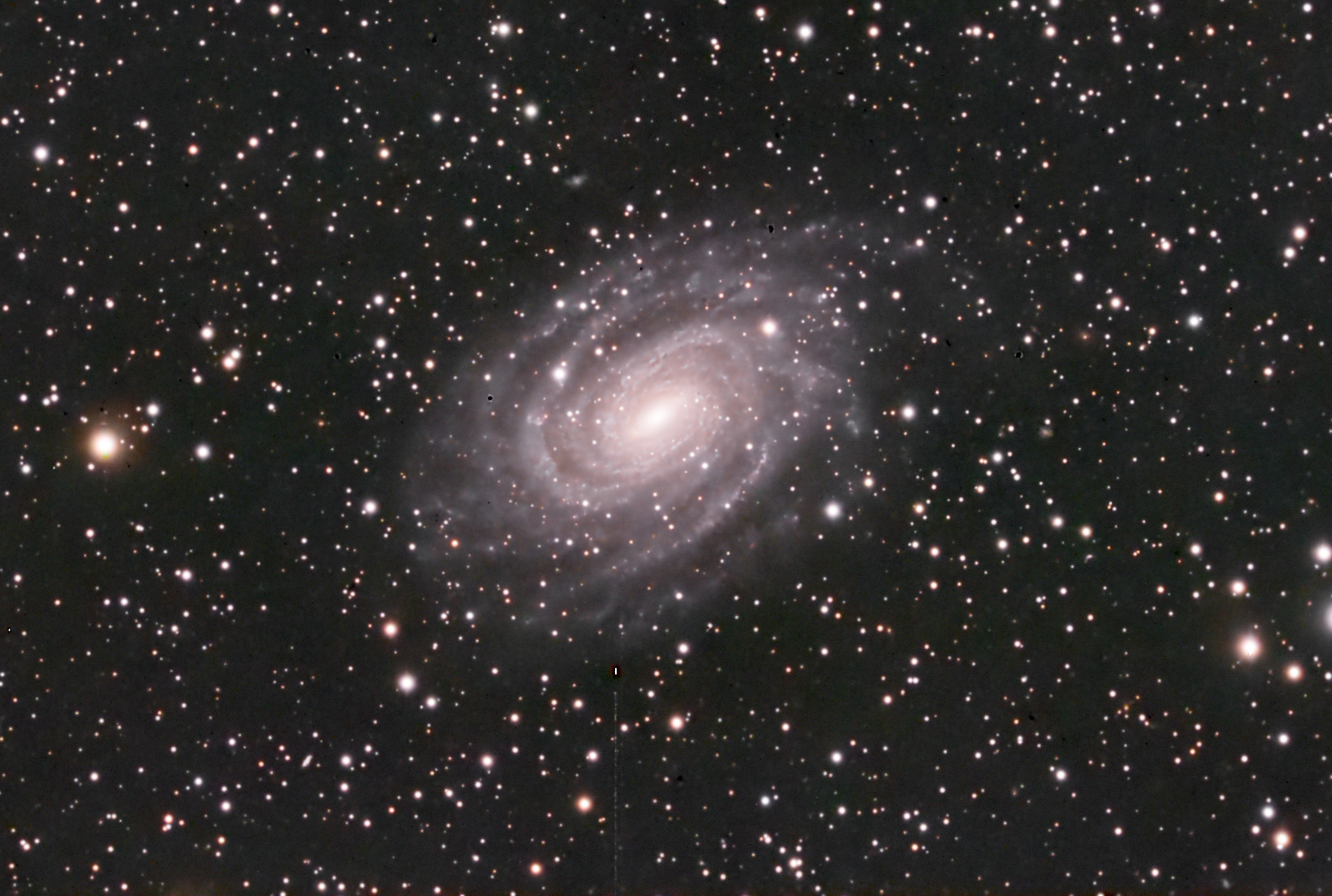 NGC 6384