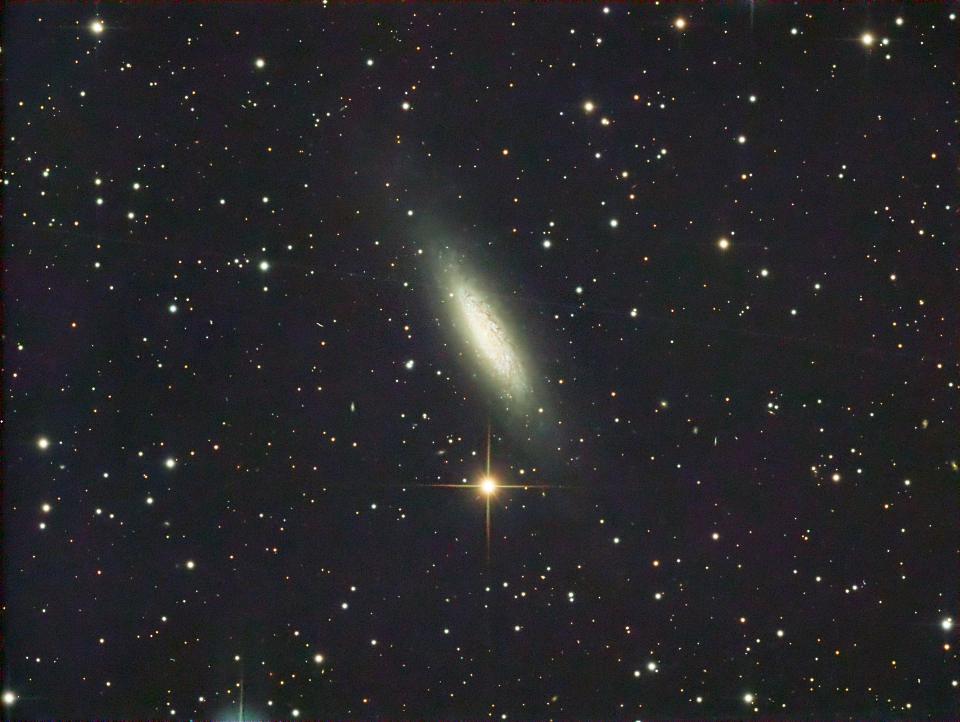 NGC 6503