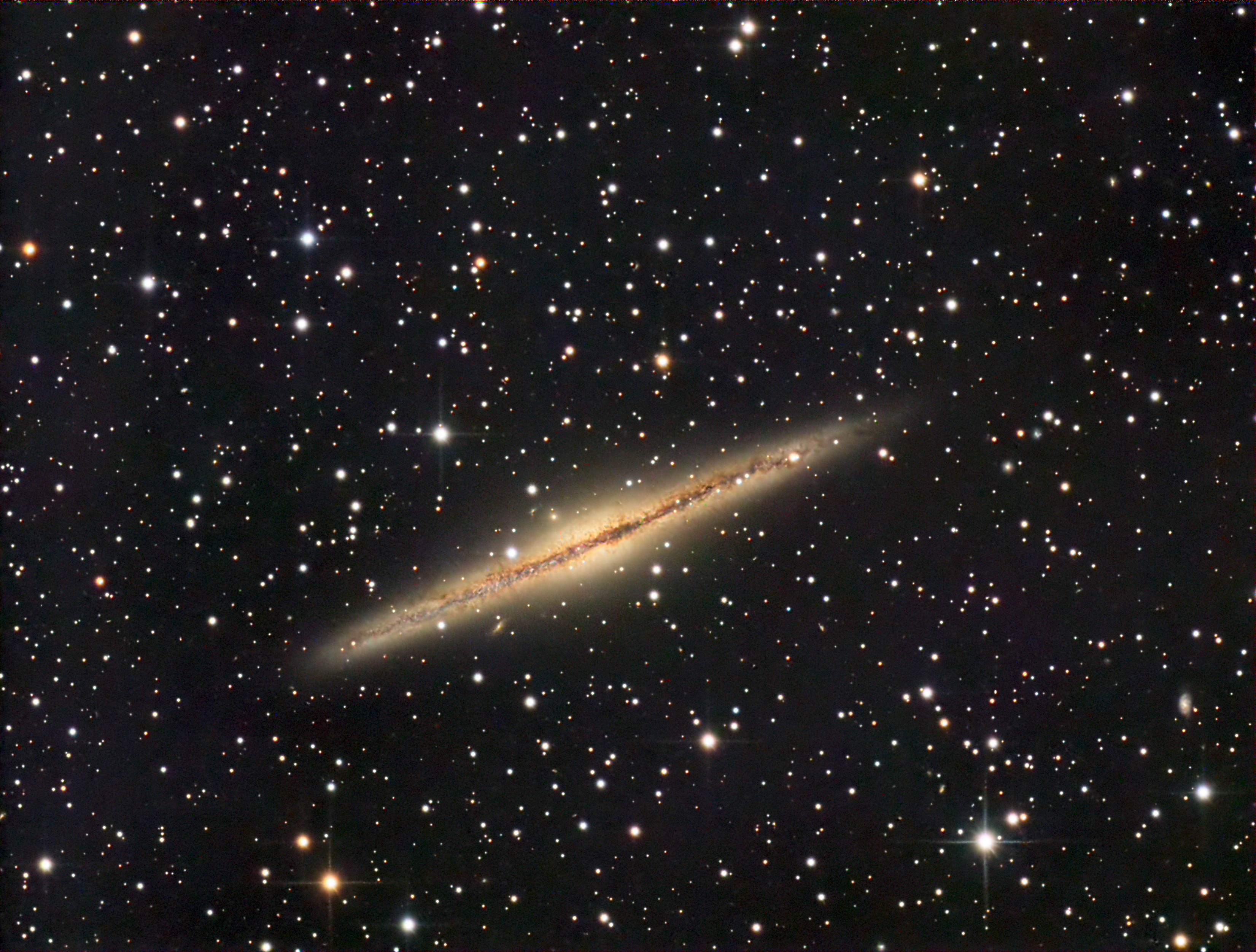 NGC 891