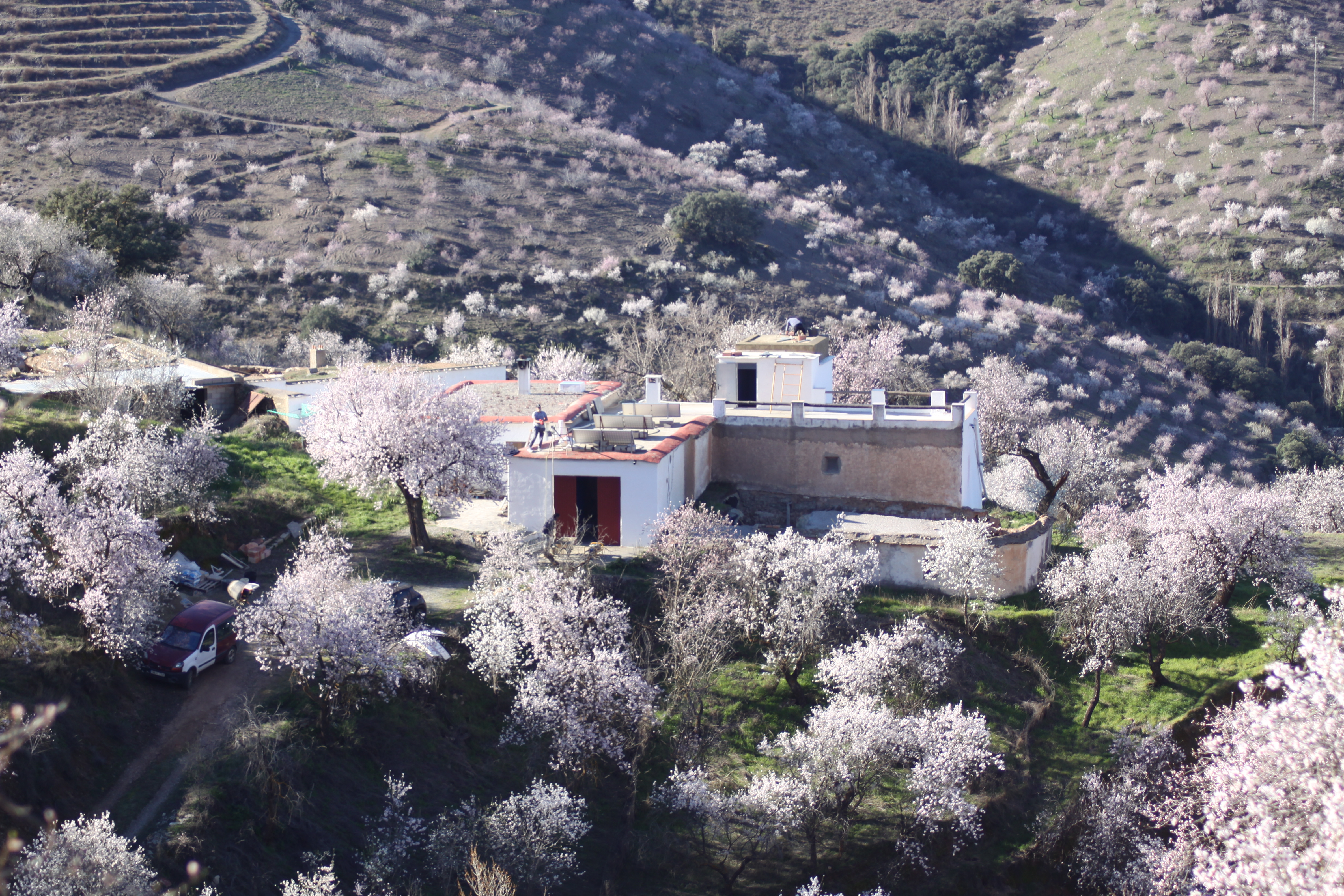 Completion of New Roof after loss of dome
